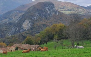 château de Montségur 